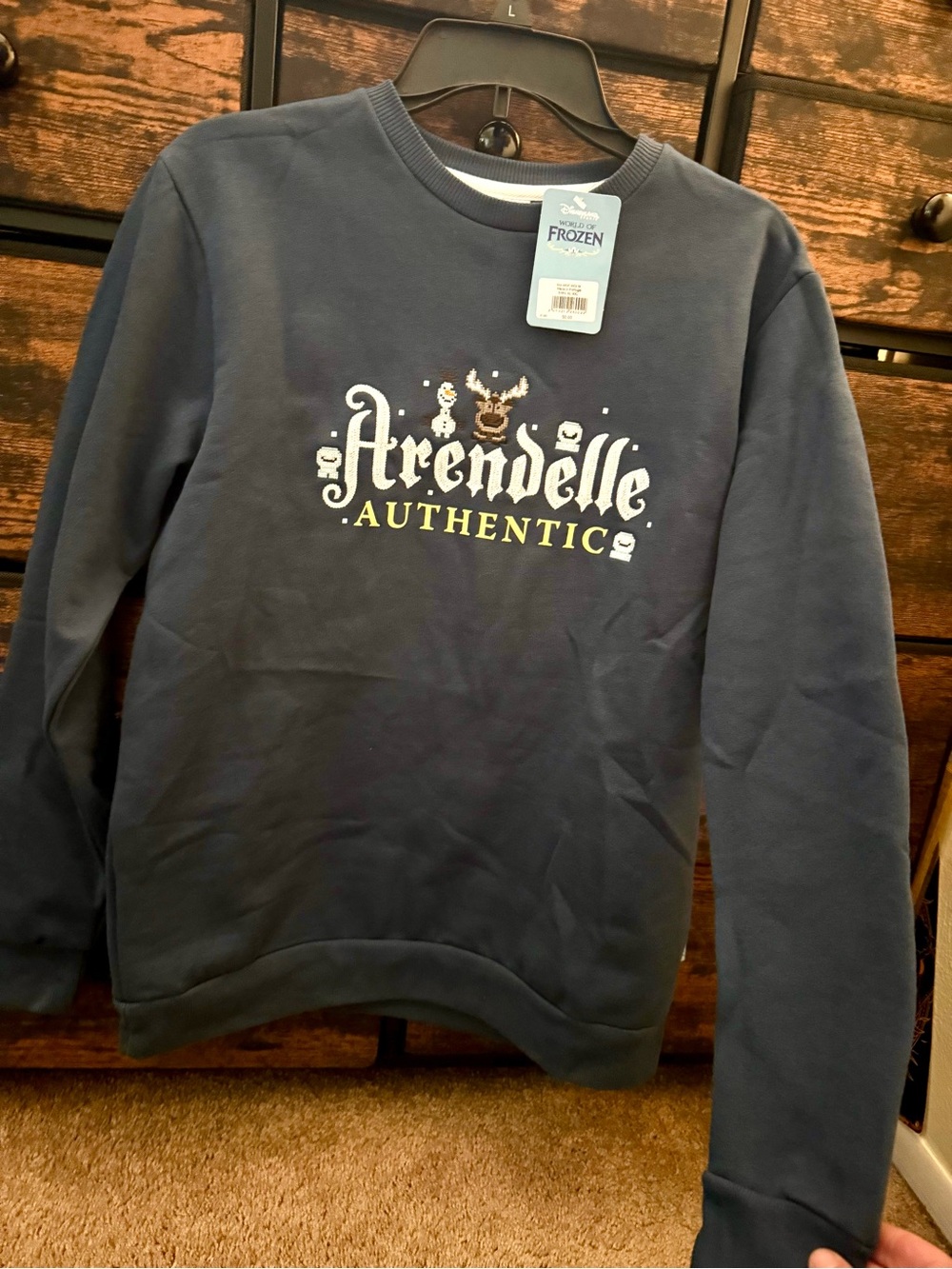 Disneyland Paris World of Frozen Arendelle Authentic Sweatshirt Medium - NWT